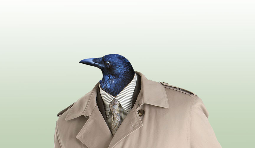 I’m Sorry, Tests Show You Are Not 19 Crows In A Trenchcoat